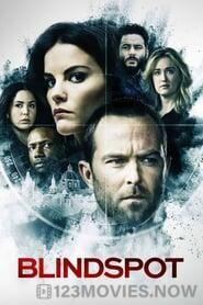 Blindspot Season 1 Episode 14