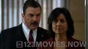 Blue Bloods Season 3 Episode 15