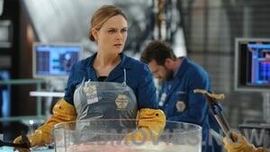 Bones Season 10 Episode 8