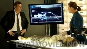 Bones Season 11 Episode 13