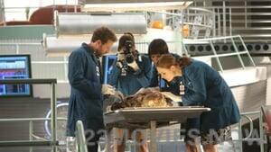 Bones Season 9 Episode 6