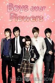 Boys Over Flowers