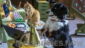 Cats & Dogs 3: Paws Unite