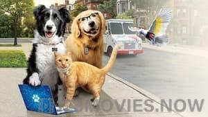 Cats & Dogs 3: Paws Unite