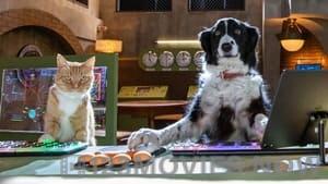 Cats & Dogs 3: Paws Unite