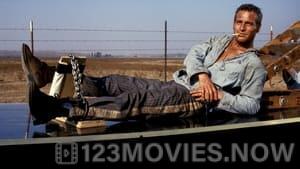 Cool Hand Luke