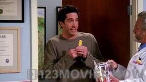 Friends Season 9 Episode 3