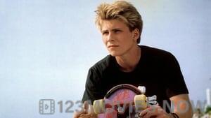 Gleaming The Cube