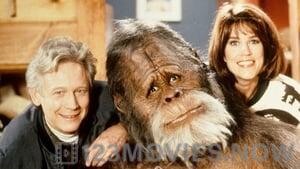 Harry and the Hendersons