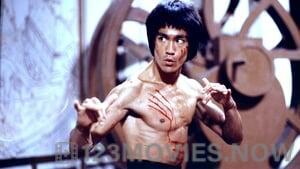 I Am Bruce Lee (2011)