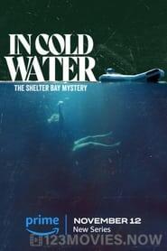 In Cold Water: The Shelter Bay Mystery