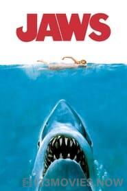 Jaws