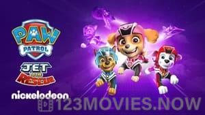 PAW Patrol: Jet to the Rescue