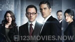 Person of Interest