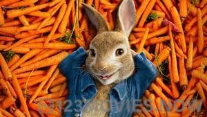 Peter Rabbit