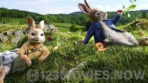 Peter Rabbit