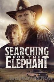 Searching for the Elephant