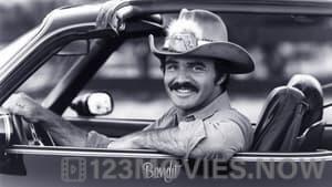 Smokey and the Bandit II