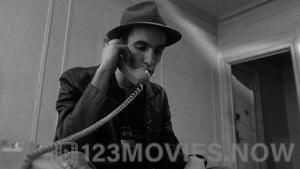 Stranger Than Paradise