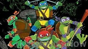 Tales of the Teenage Mutant Ninja Turtles