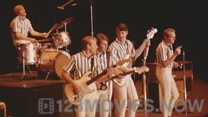 The Beach Boys