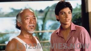 The Karate Kid 2