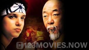 The Karate Kid 2