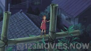 The Secret World of Arrietty