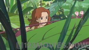 The Secret World of Arrietty