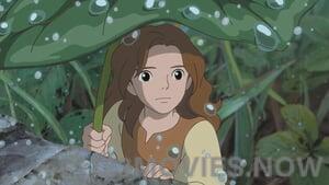 The Secret World of Arrietty