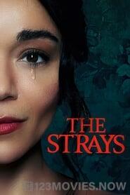 The Strays