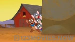 Tom and Jerry Cowboy Up!