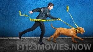 Turner and Hooch