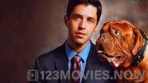 Turner and Hooch