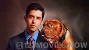 Turner and Hooch