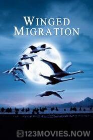 Winged Migration